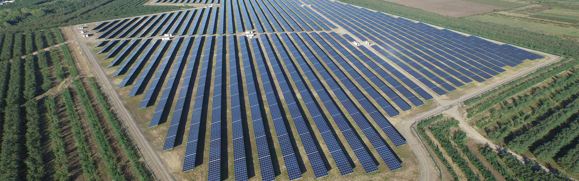 Sunforson Trying Best