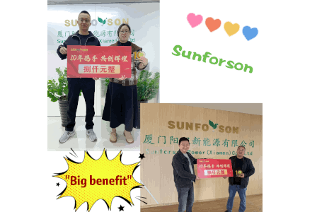 阳程十年员工表彰：感恩同行，共创未来