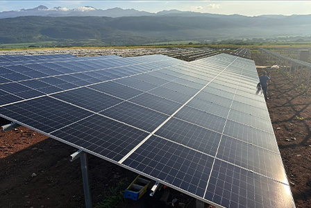 2026 全球光伏行业动态：光伏支架技术与贸易格局升级